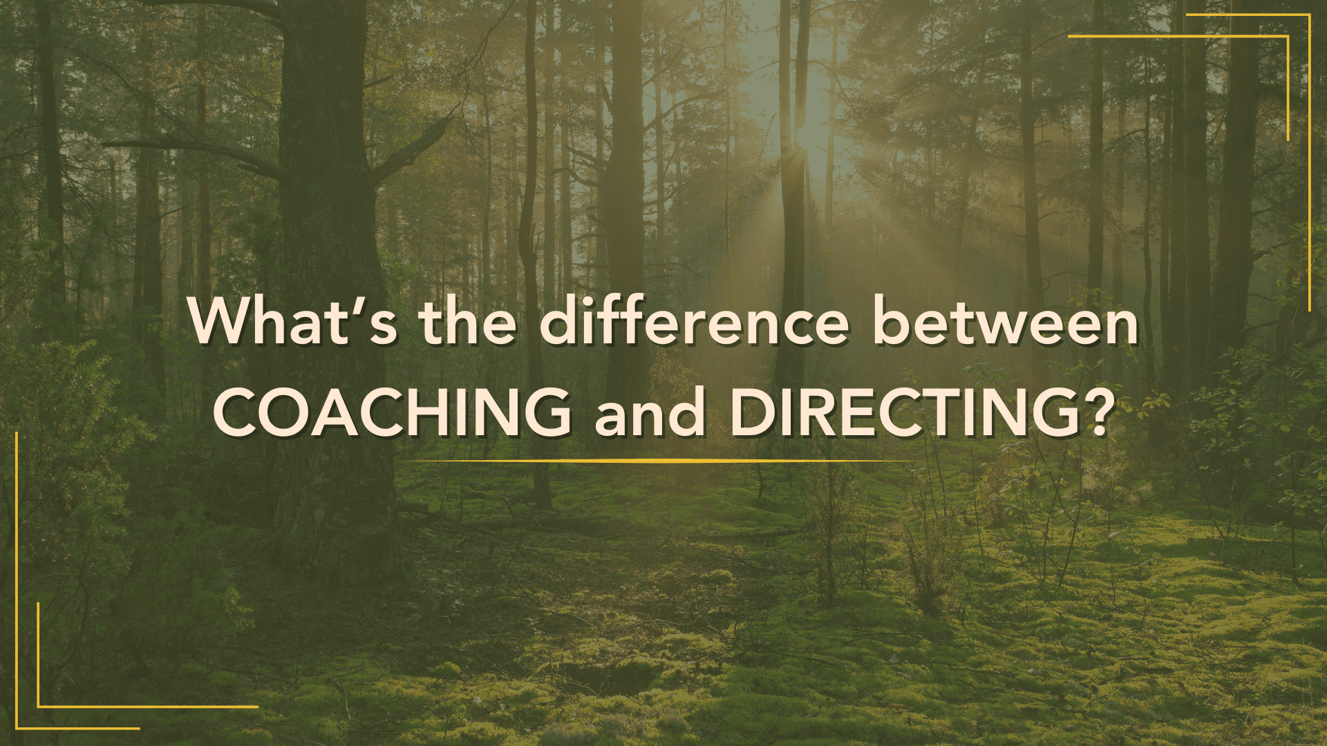 Coaching vs. Directing: What’s the difference?